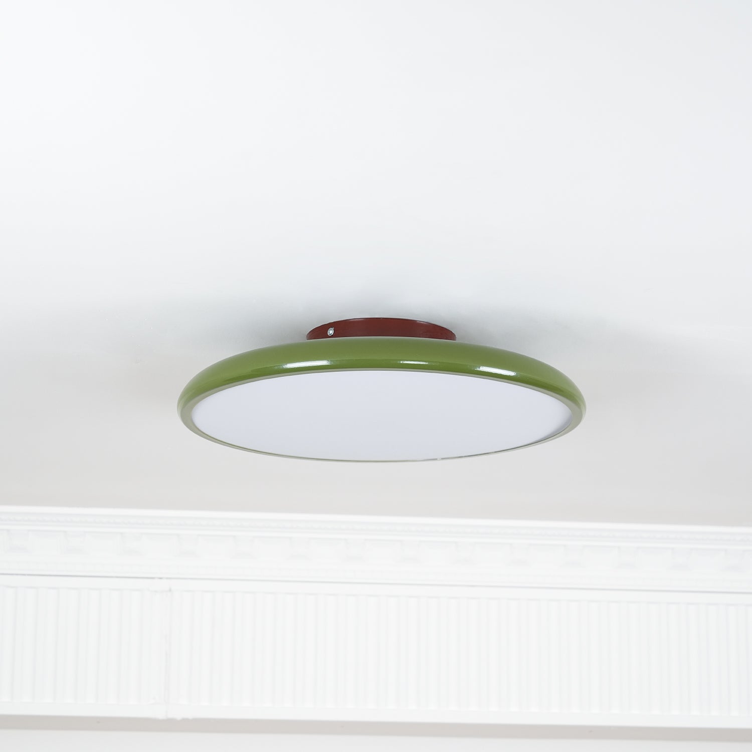 Rioas Adjustable Ceiling Light