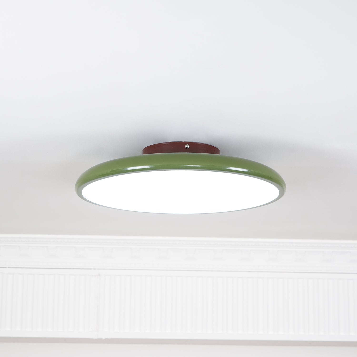Rioas Adjustable Ceiling Light