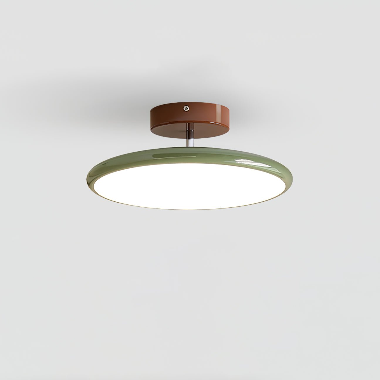 Rioas Adjustable Ceiling Light