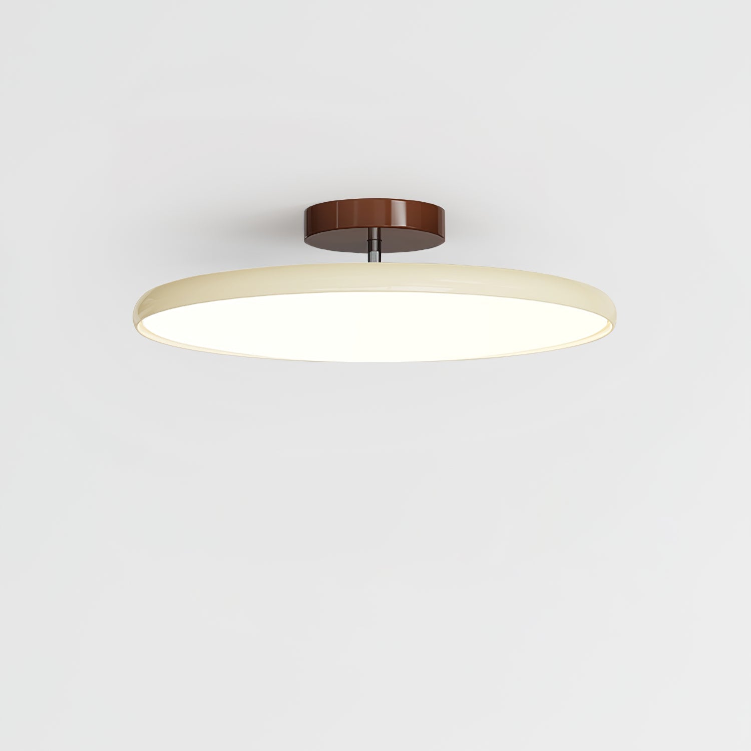 Rioas Adjustable Ceiling Light
