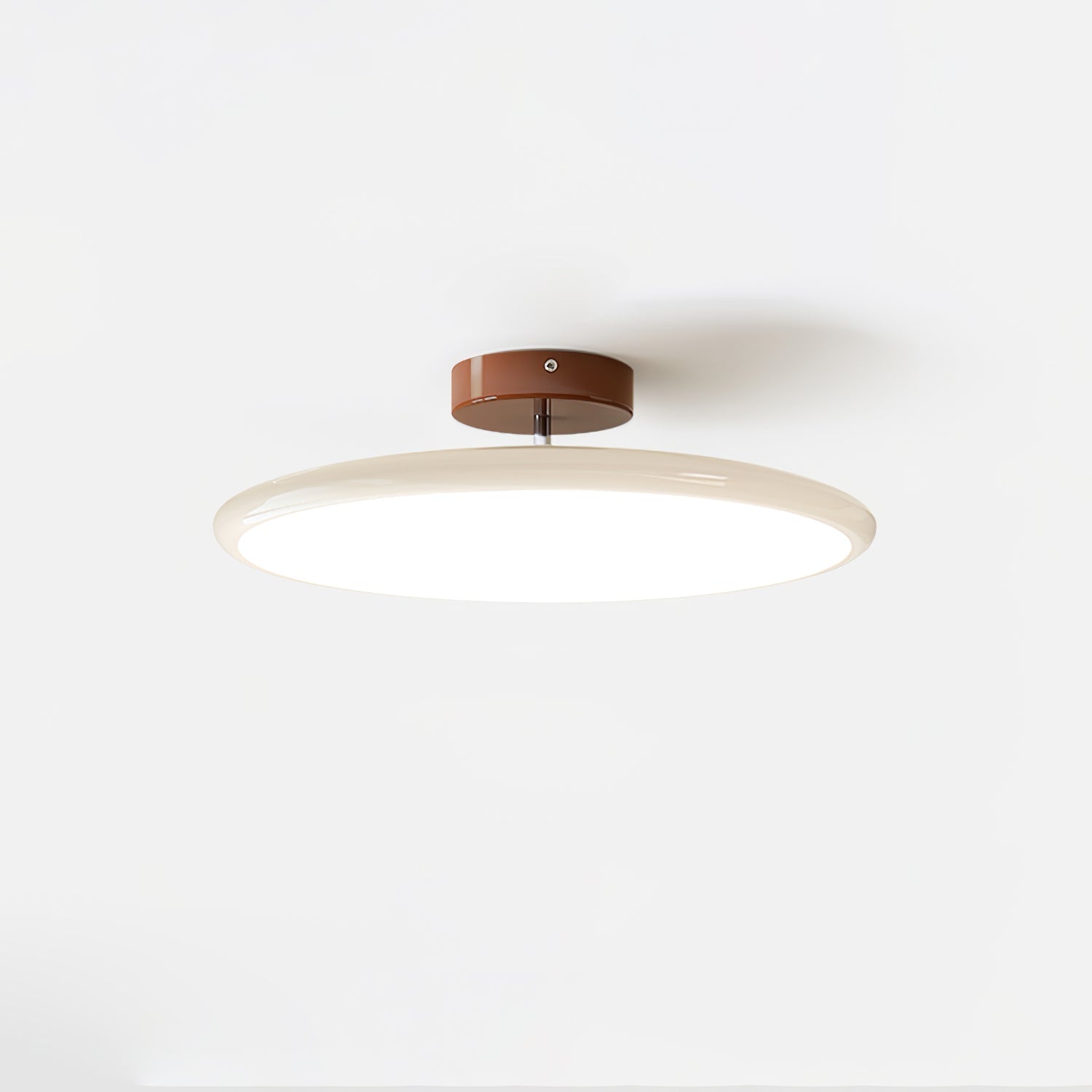 Rioas Adjustable Ceiling Light