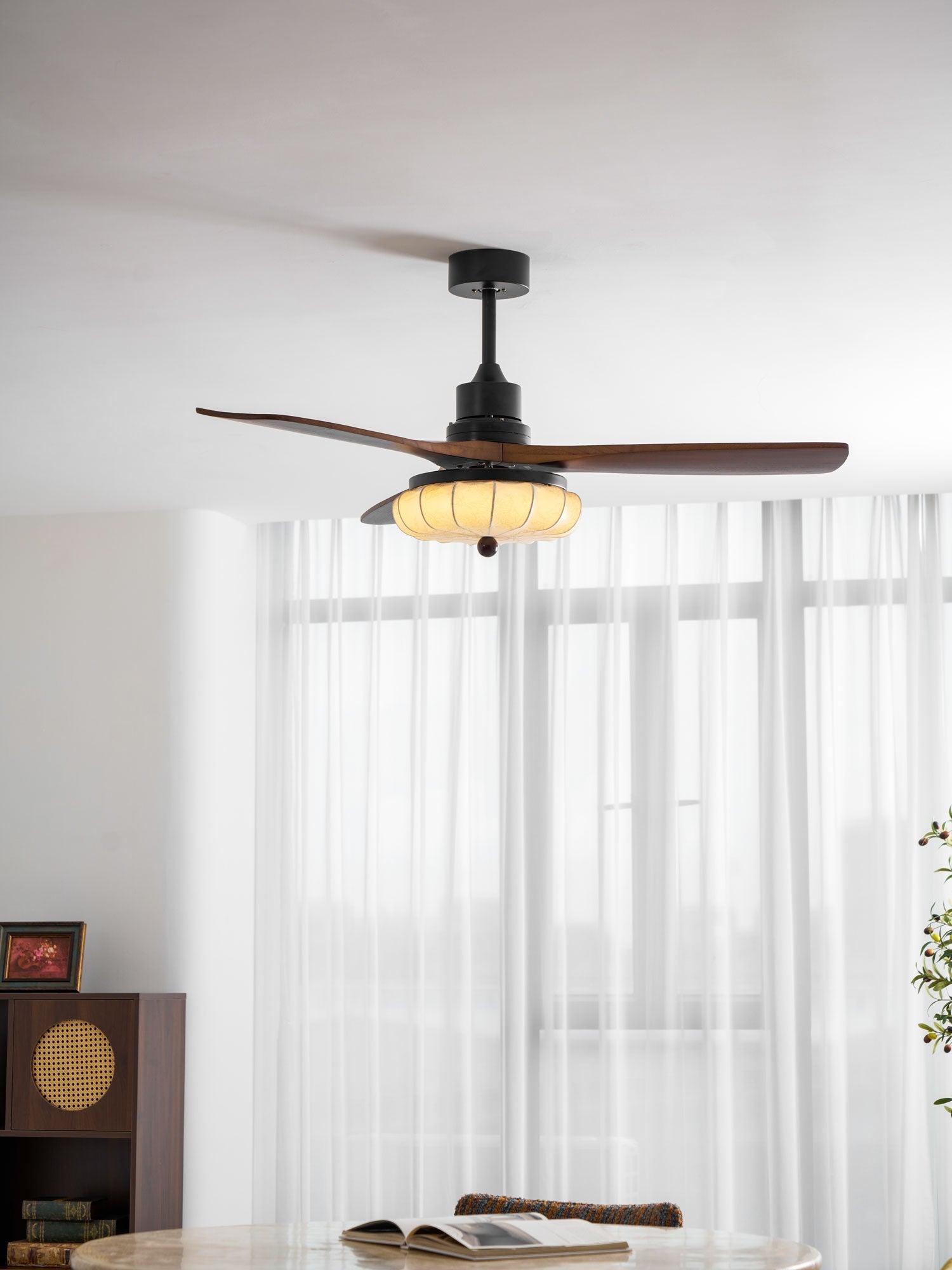 Leero Ceiling Fan Light