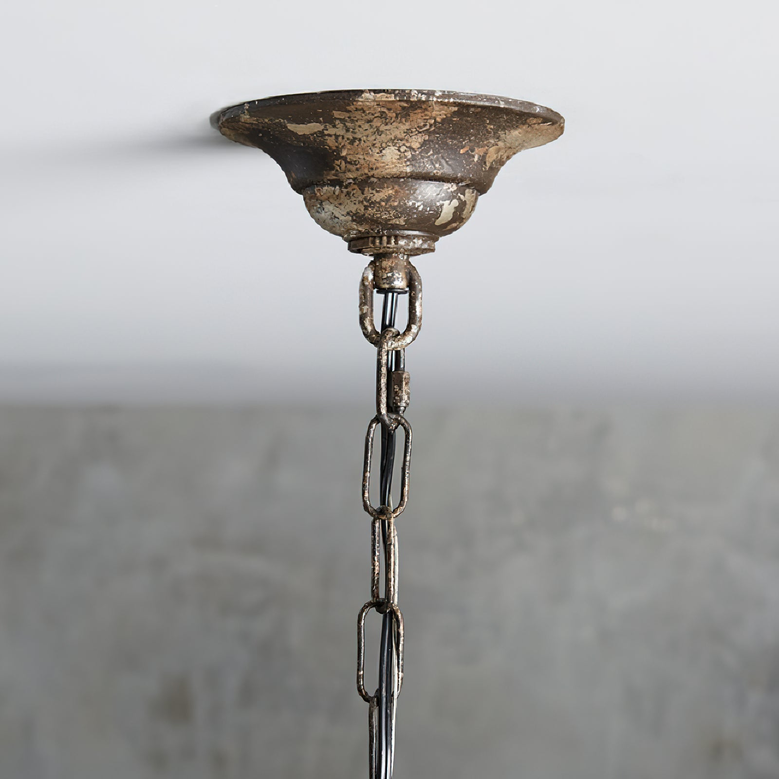 Liotona Floral Pendant Light