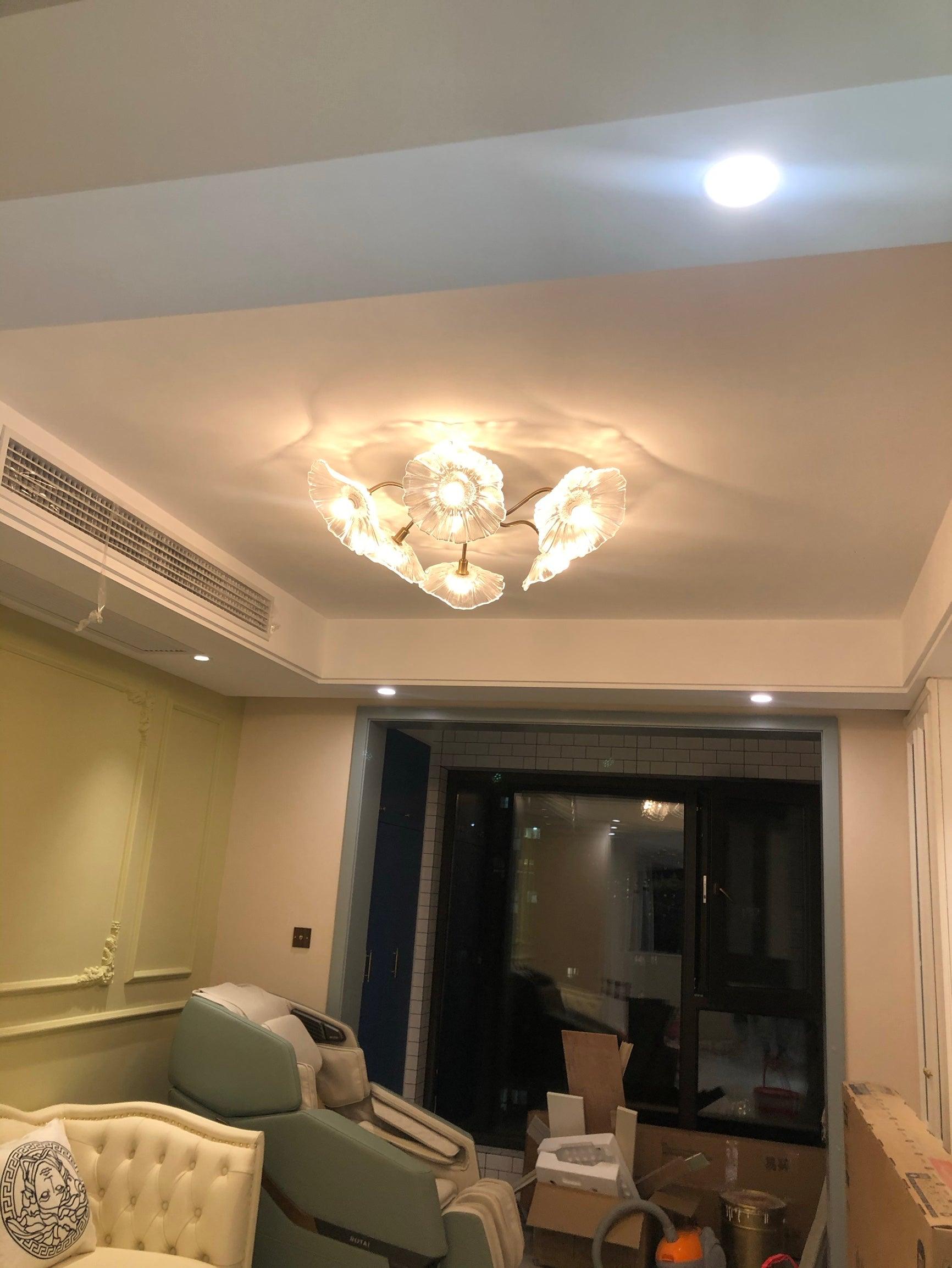 Jorcor Leaf Ceiling Light
