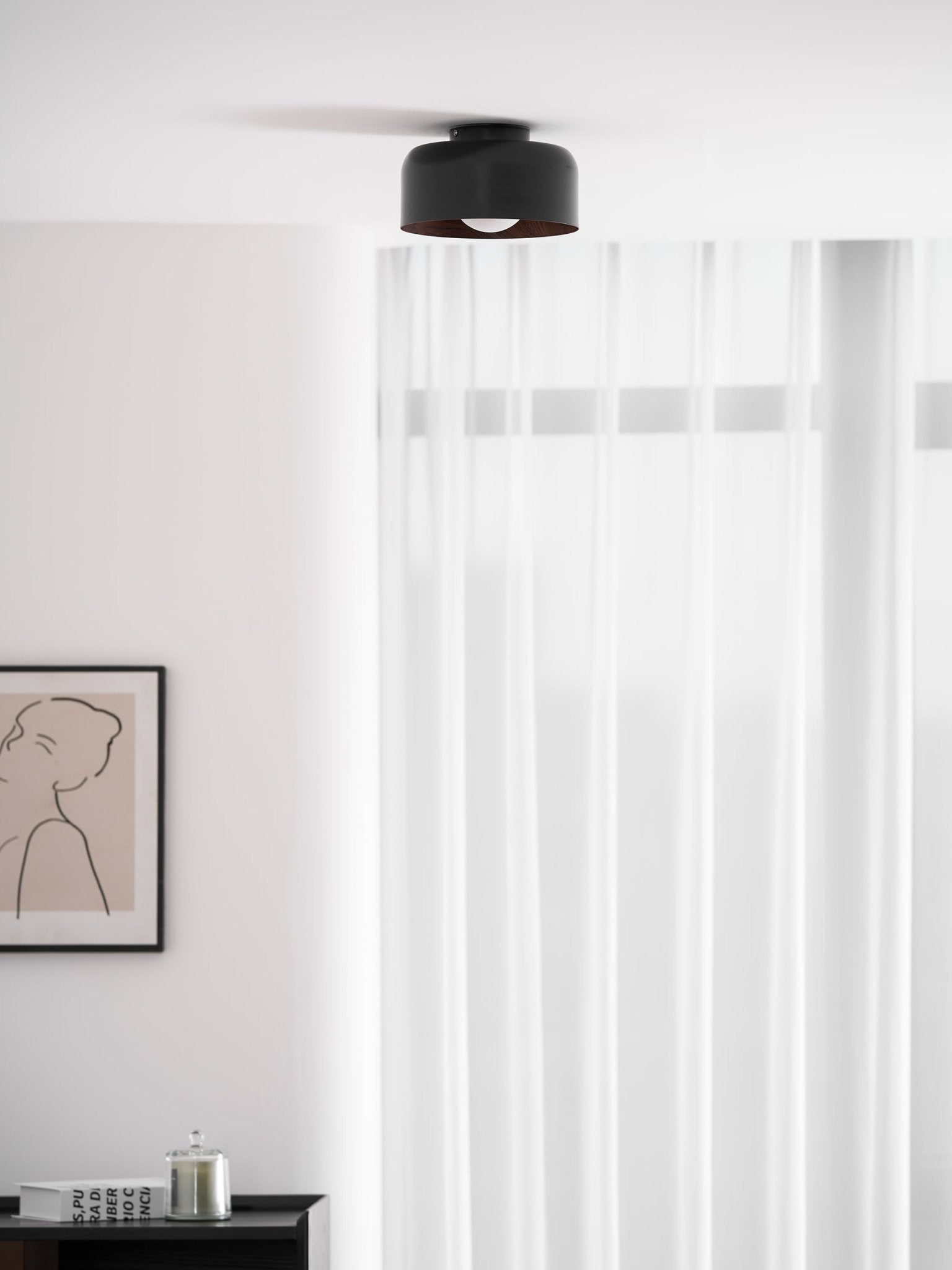 Cayeler Ceiling Light