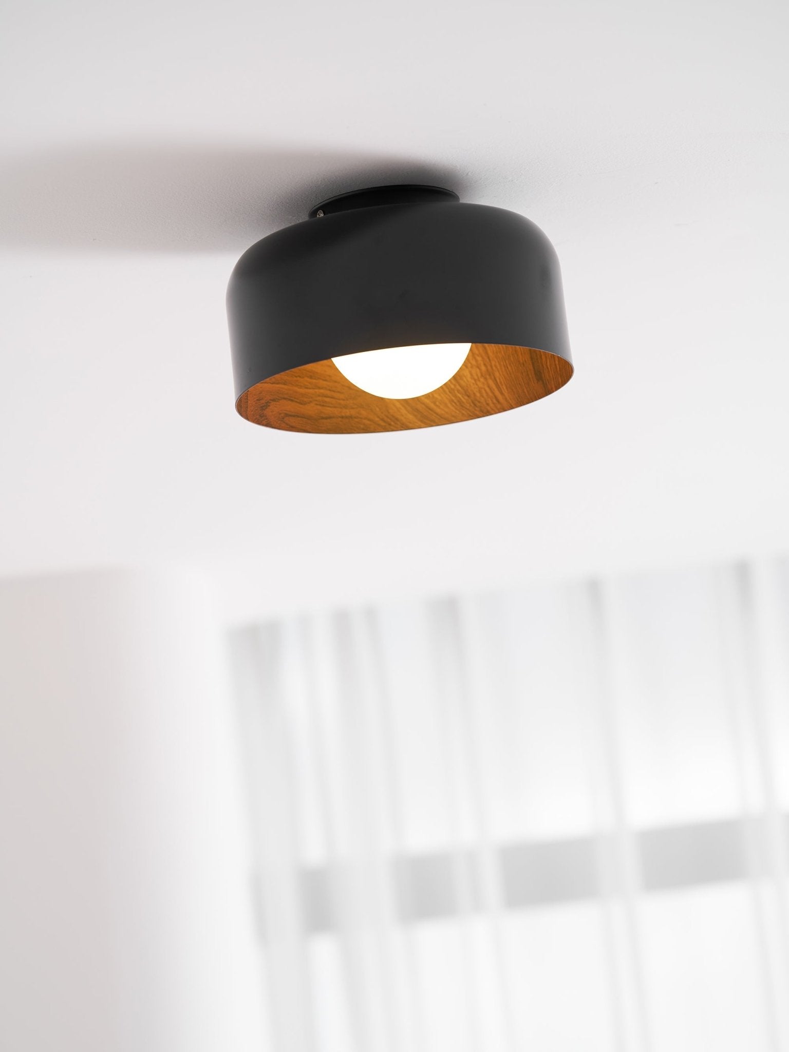 Cayeler Ceiling Light