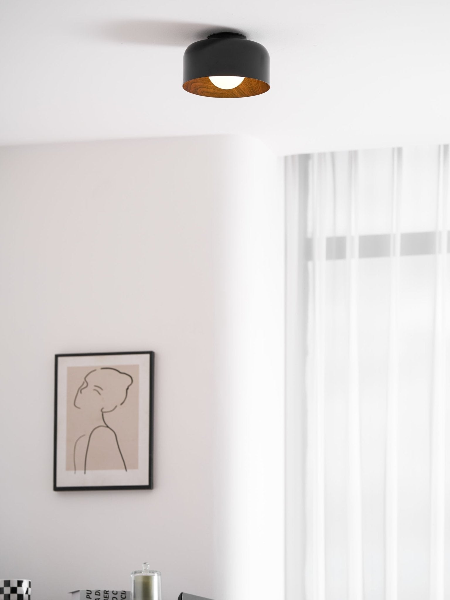 Cayeler Ceiling Light