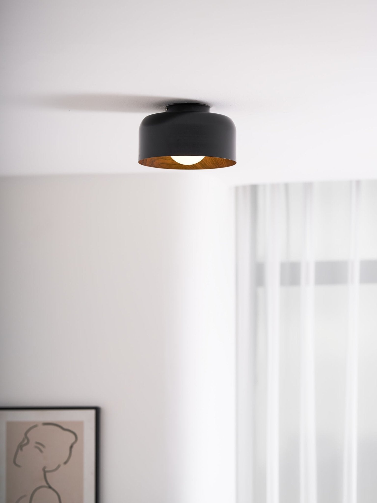 Cayeler Ceiling Light