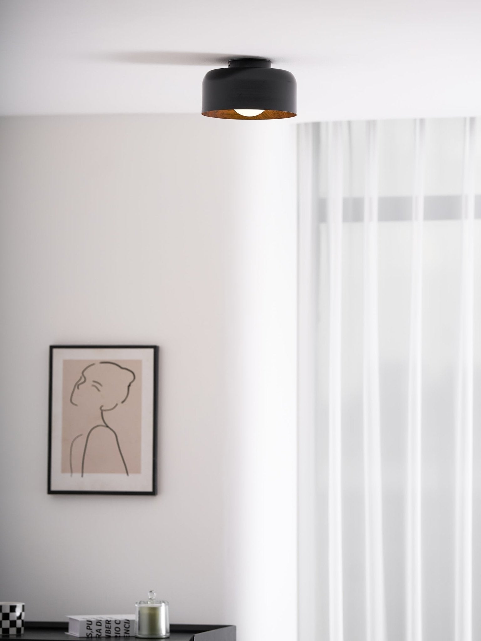 Cayeler Ceiling Light
