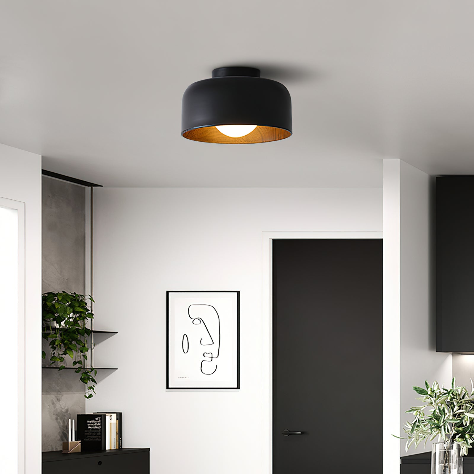 Cayeler Ceiling Light