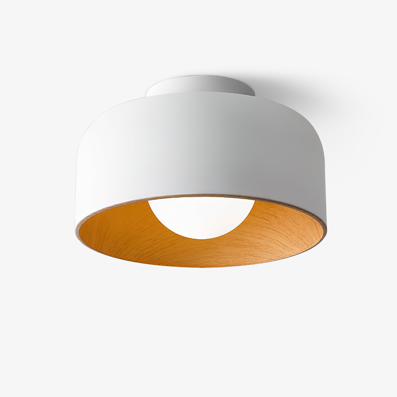 Cayeler Ceiling Light