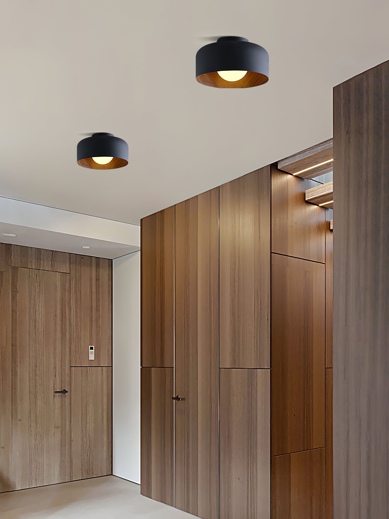 Cayeler Ceiling Light