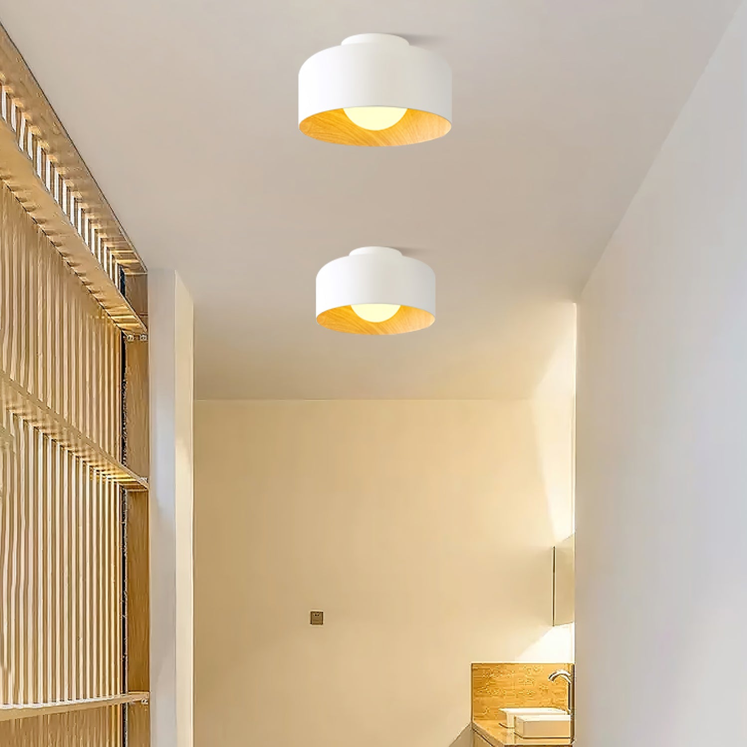 Cayeler Ceiling Light