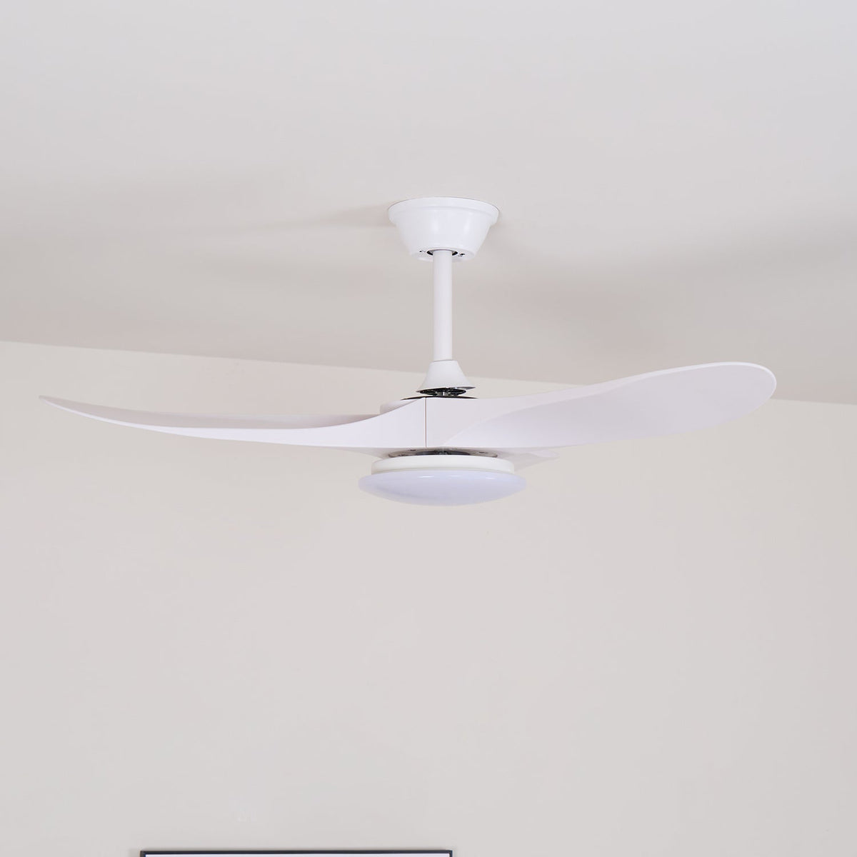 Orenlynko Ceiling Fan Light