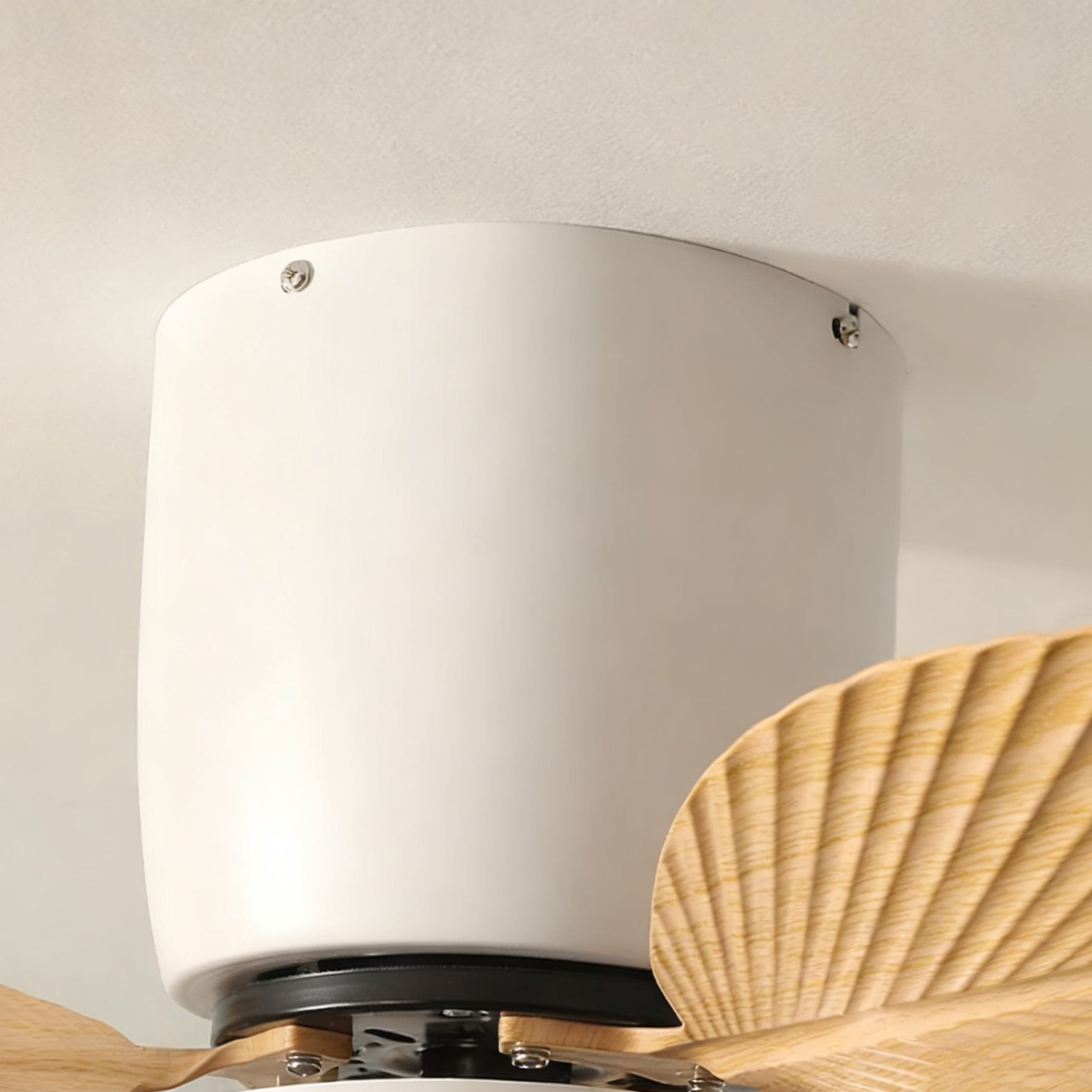 Viroas Ceiling Fan Light