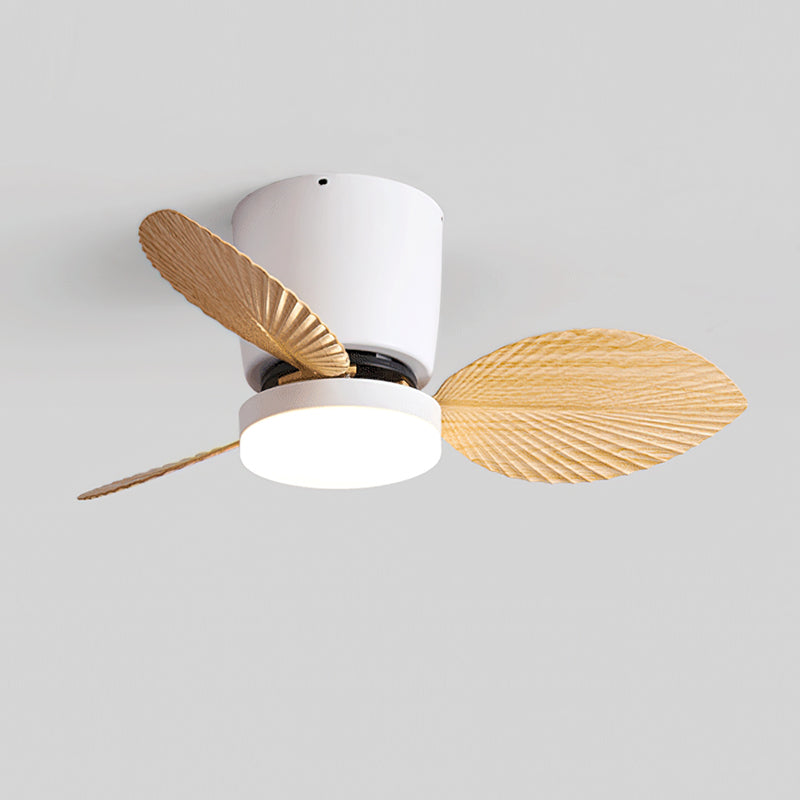 Viroas Ceiling Fan Light