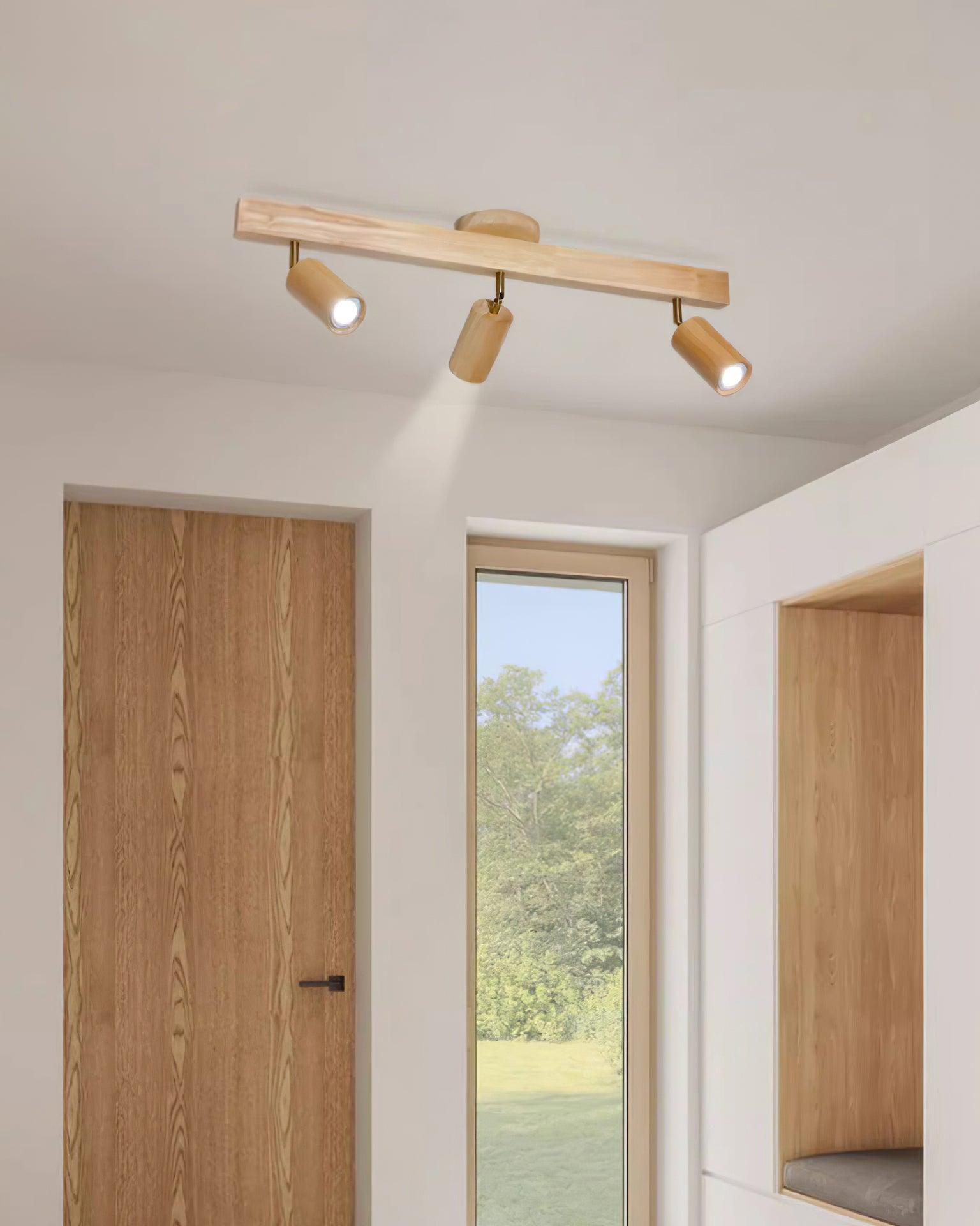 Nolwellro Outdoor Ceiling Light