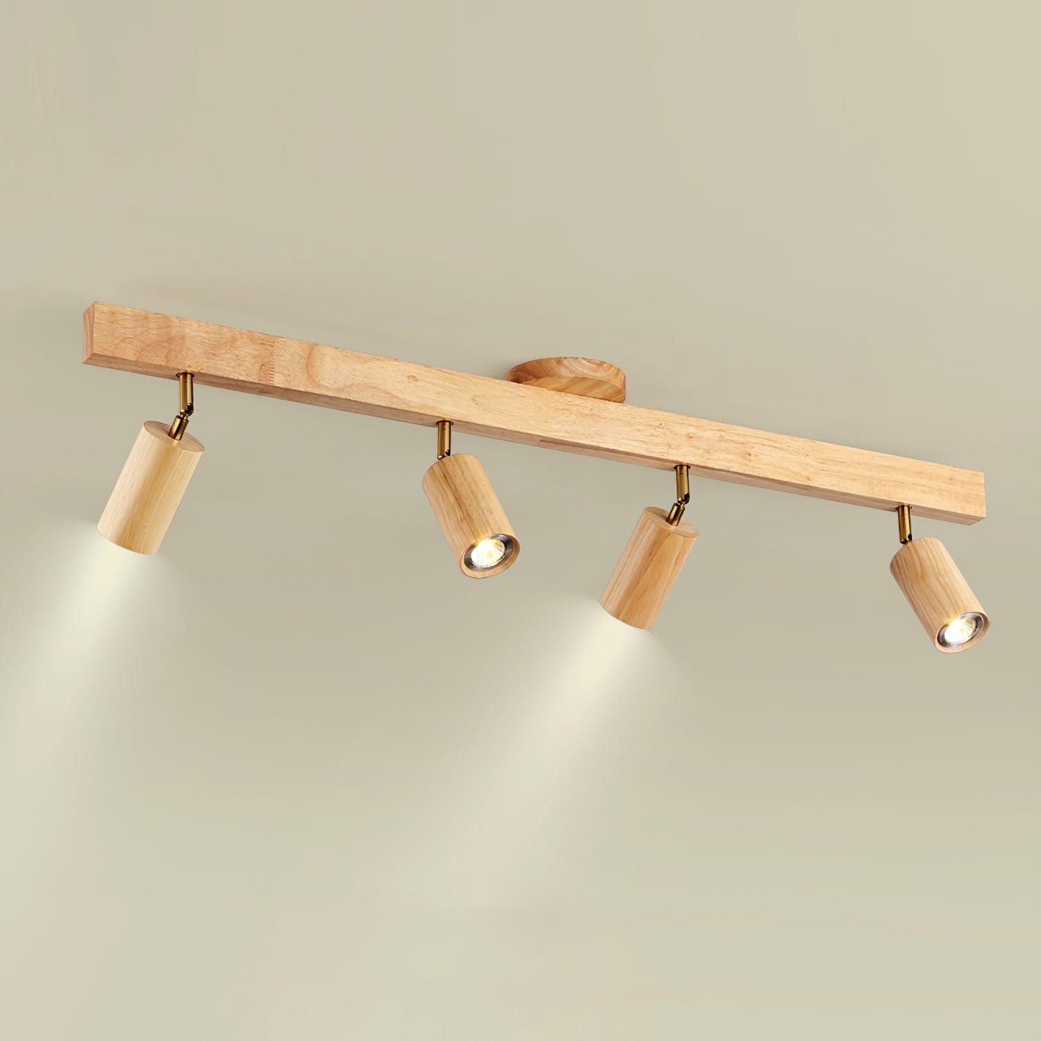 Lorim Track Ceiling Light