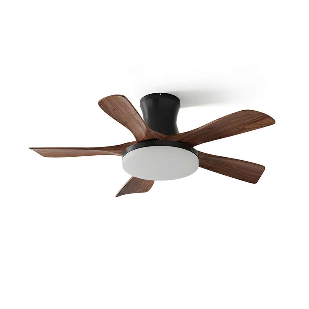 Joreri Ceiling Fan Light