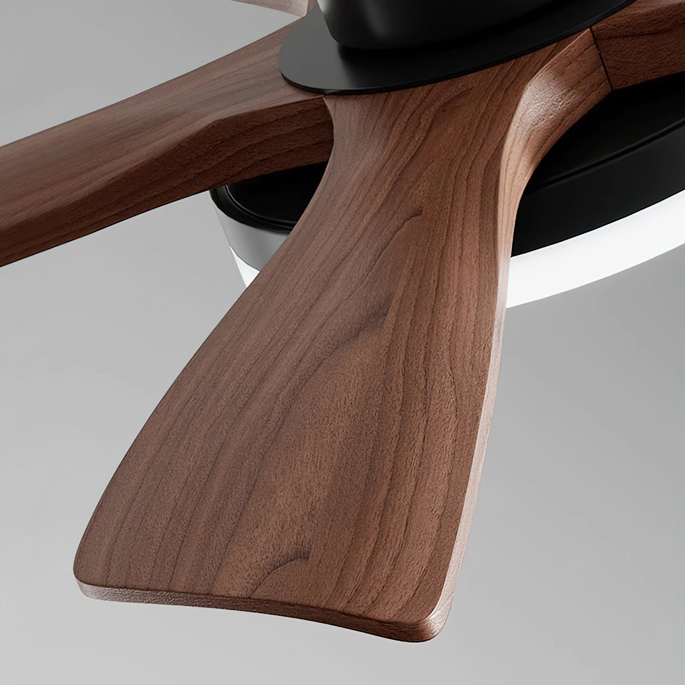 Joreri Ceiling Fan Light