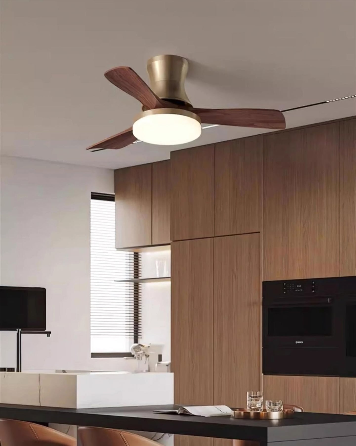 Joreri Ceiling Fan Light