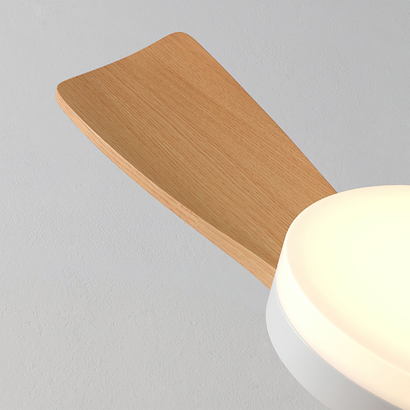 Joreri Ceiling Fan Light