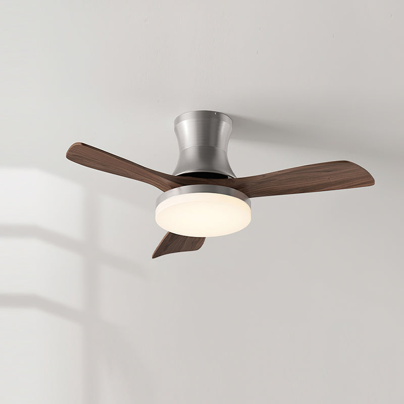 Joreri Ceiling Fan Light