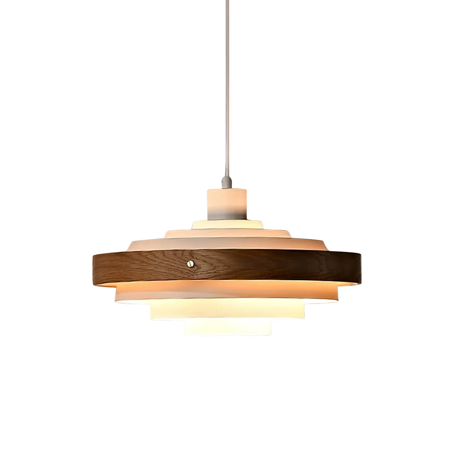 Reefiabay Drum Pendant Light