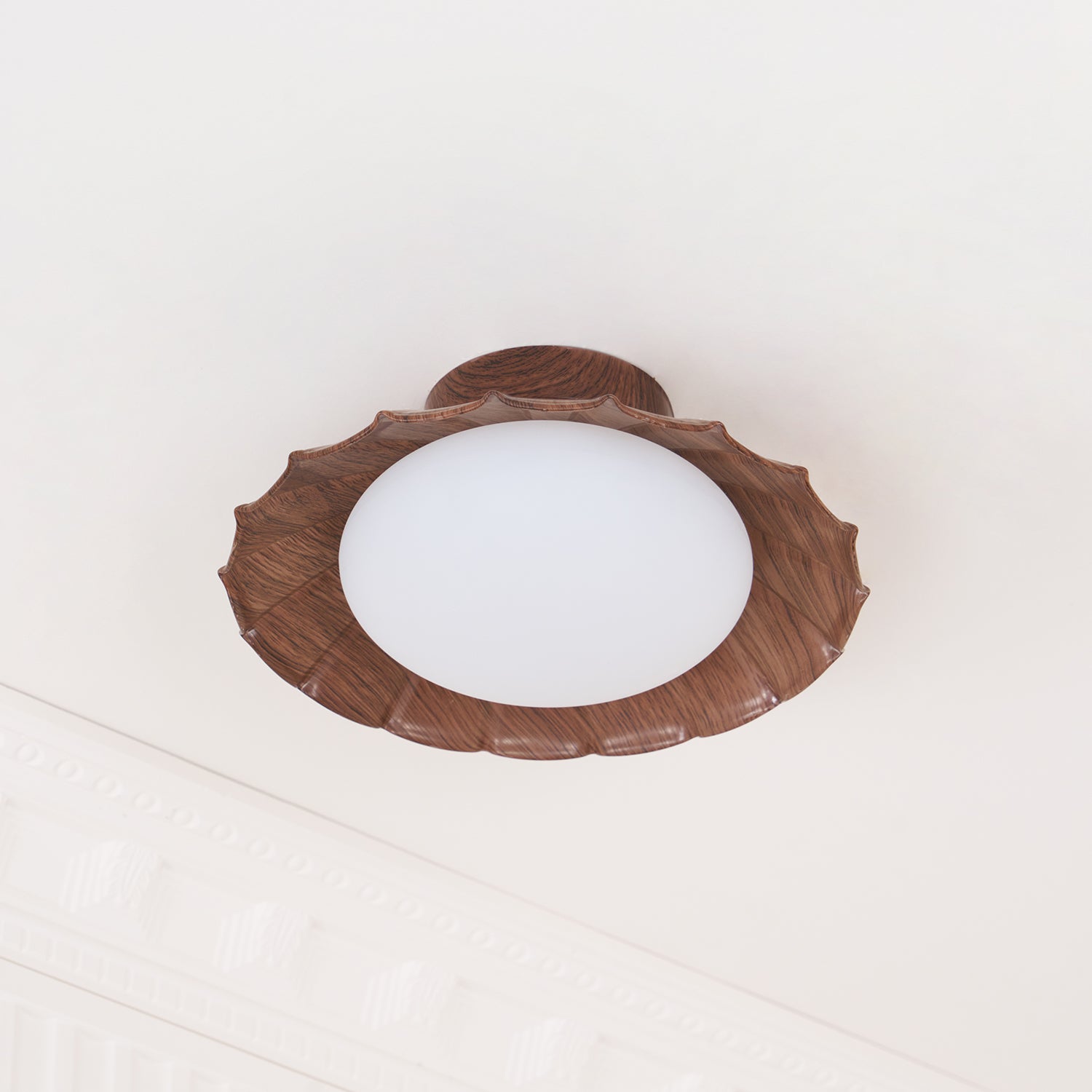 Rovevo Ceiling Light