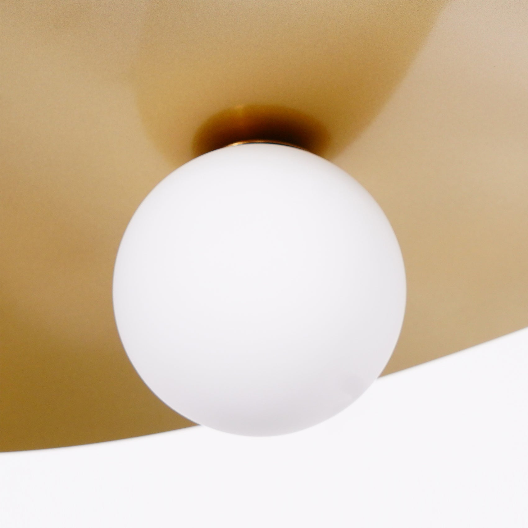 Caycora Modern Pendant Light
