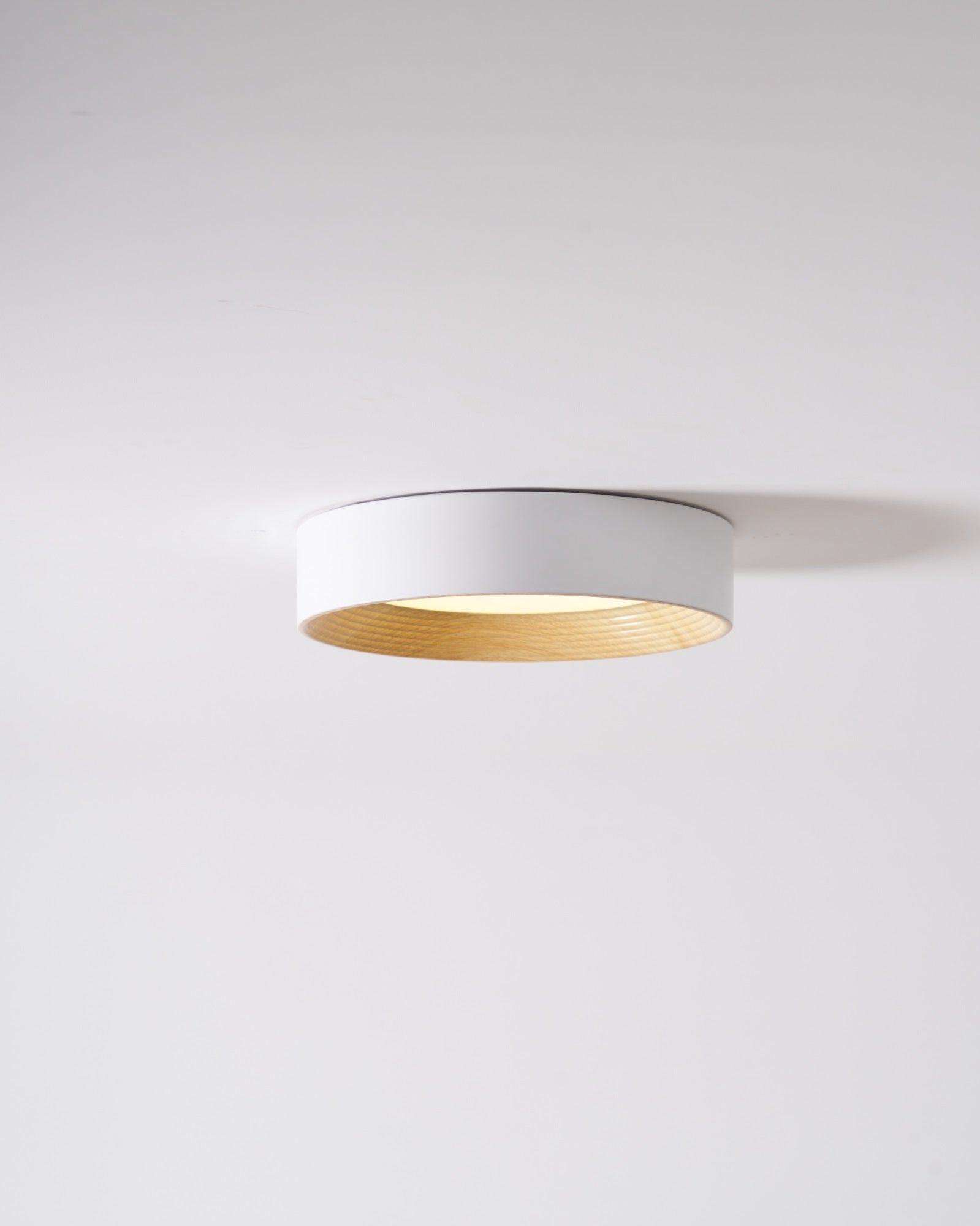 Lerexa Round Ceiling Light