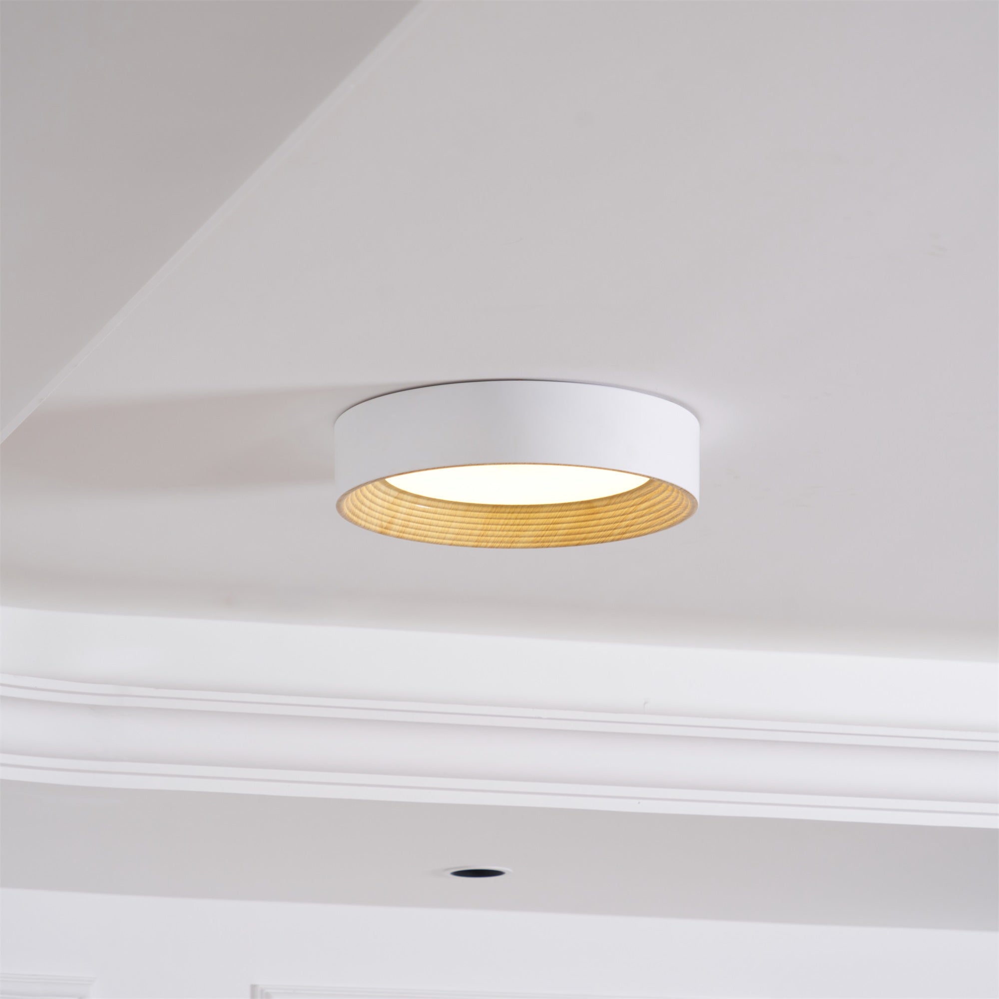 Lerexa Round Ceiling Light