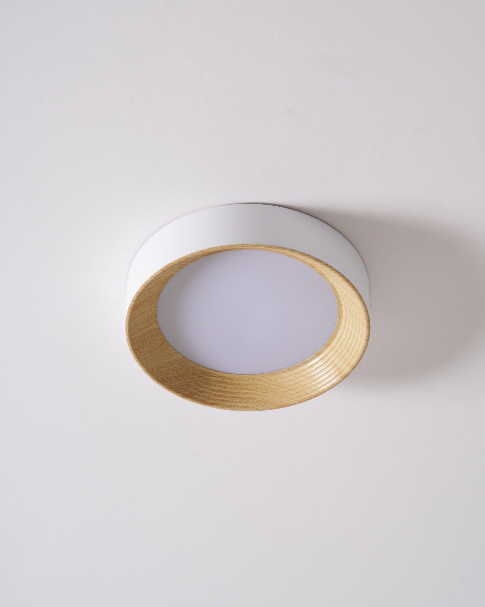 Lerexa Round Ceiling Light