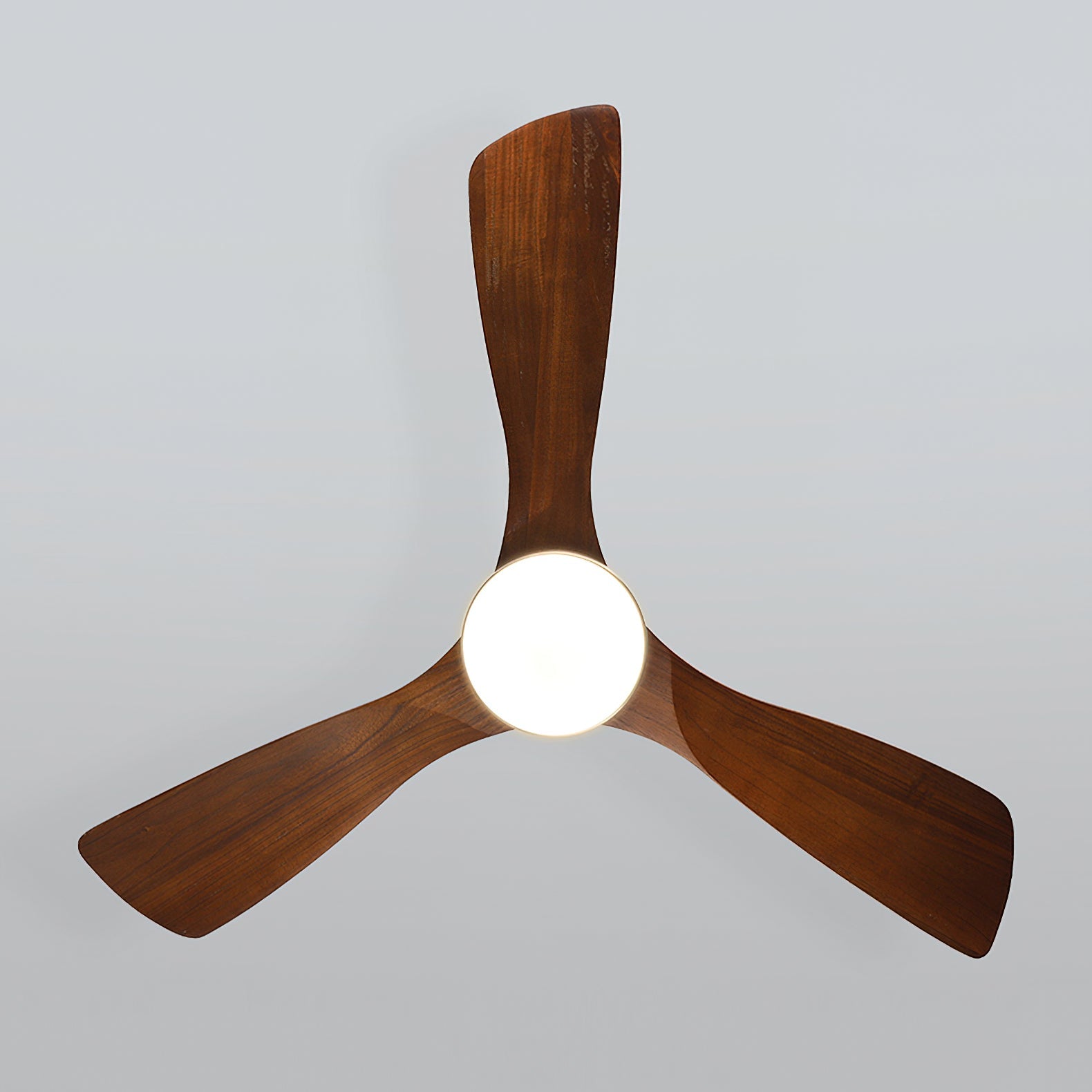 Valeri Ceiling Fan Light