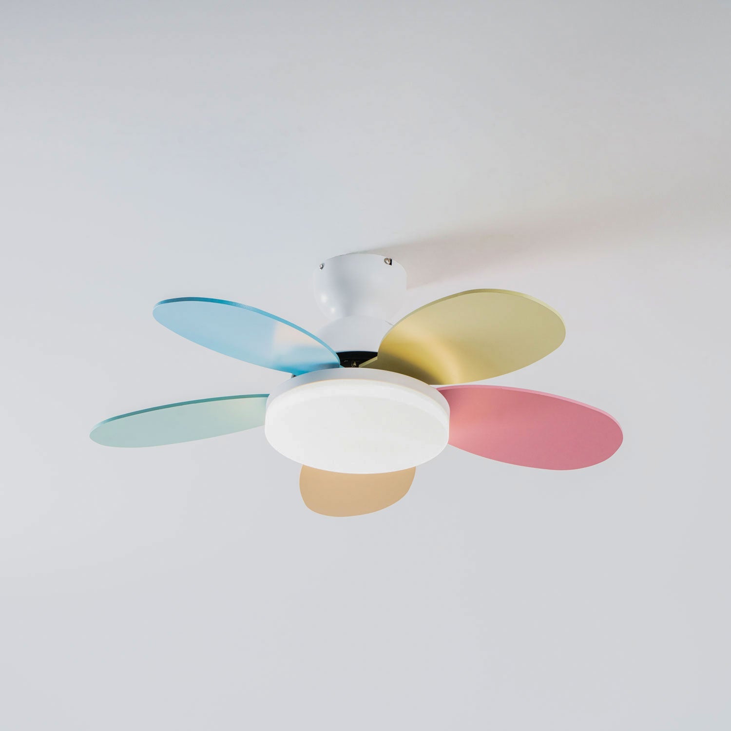 Taliro Ceiling Fan Light