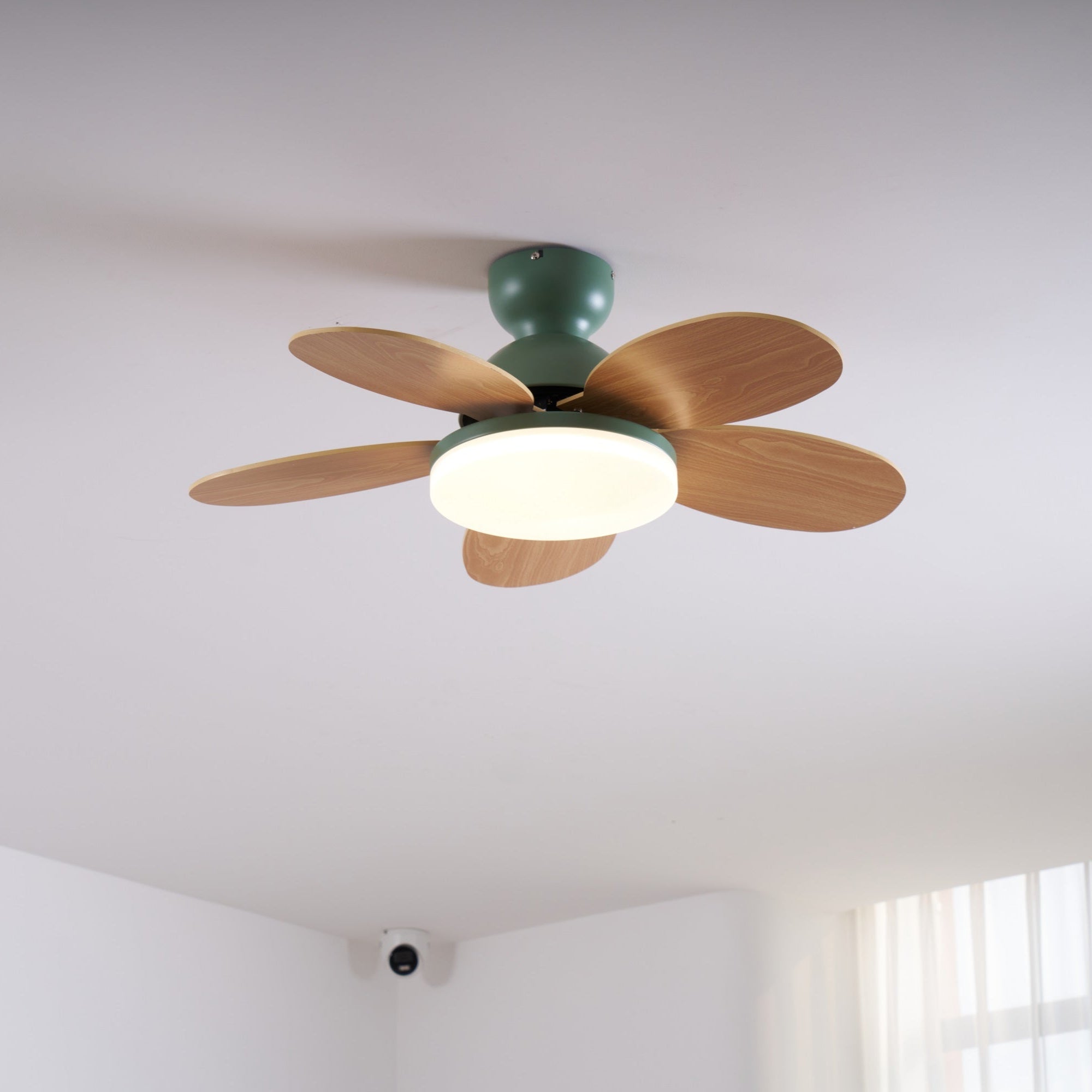 Taliro Ceiling Fan Light