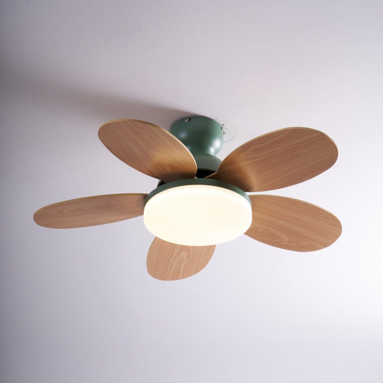 Taliro Ceiling Fan Light