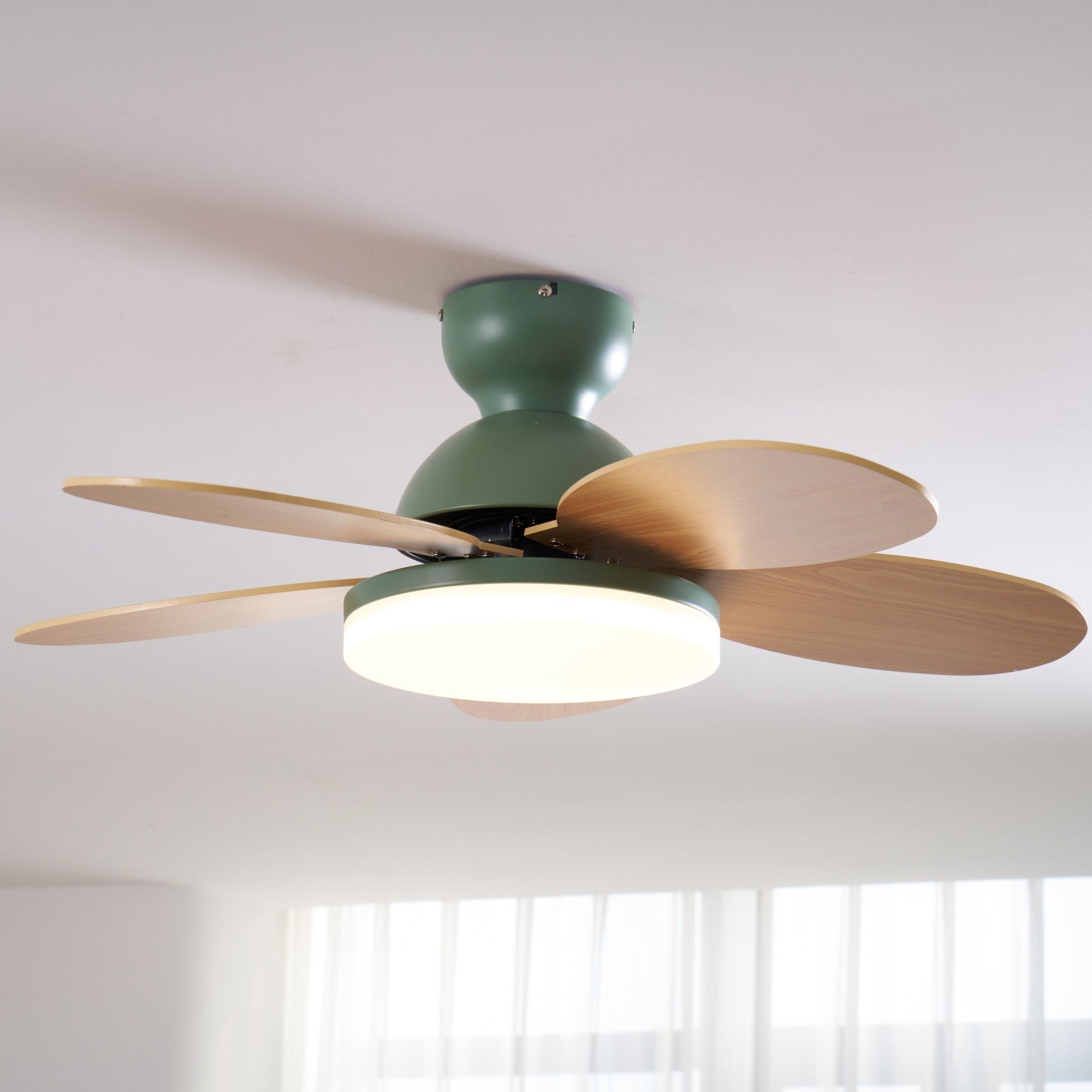 Taliro Ceiling Fan Light