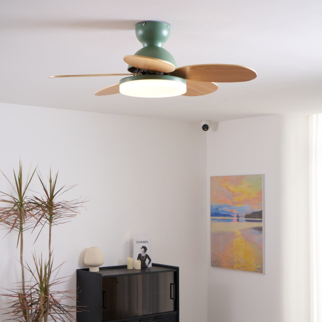 Taliro Ceiling Fan Light