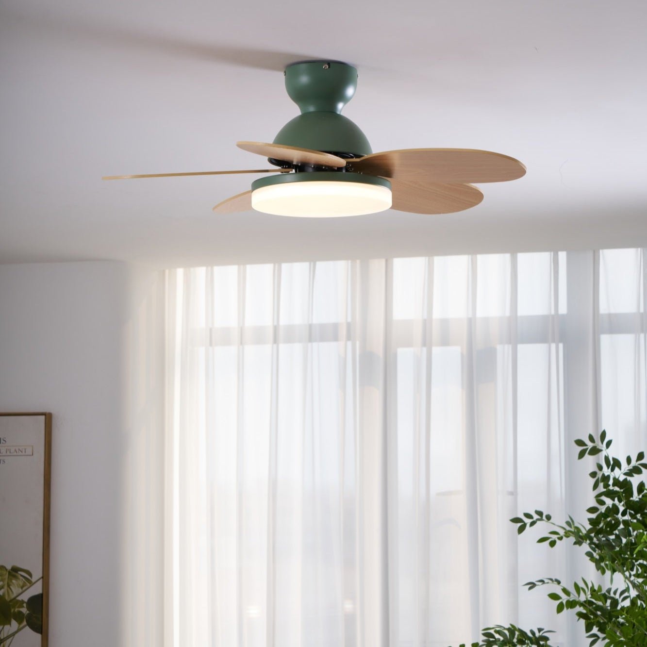 Taliro Ceiling Fan Light