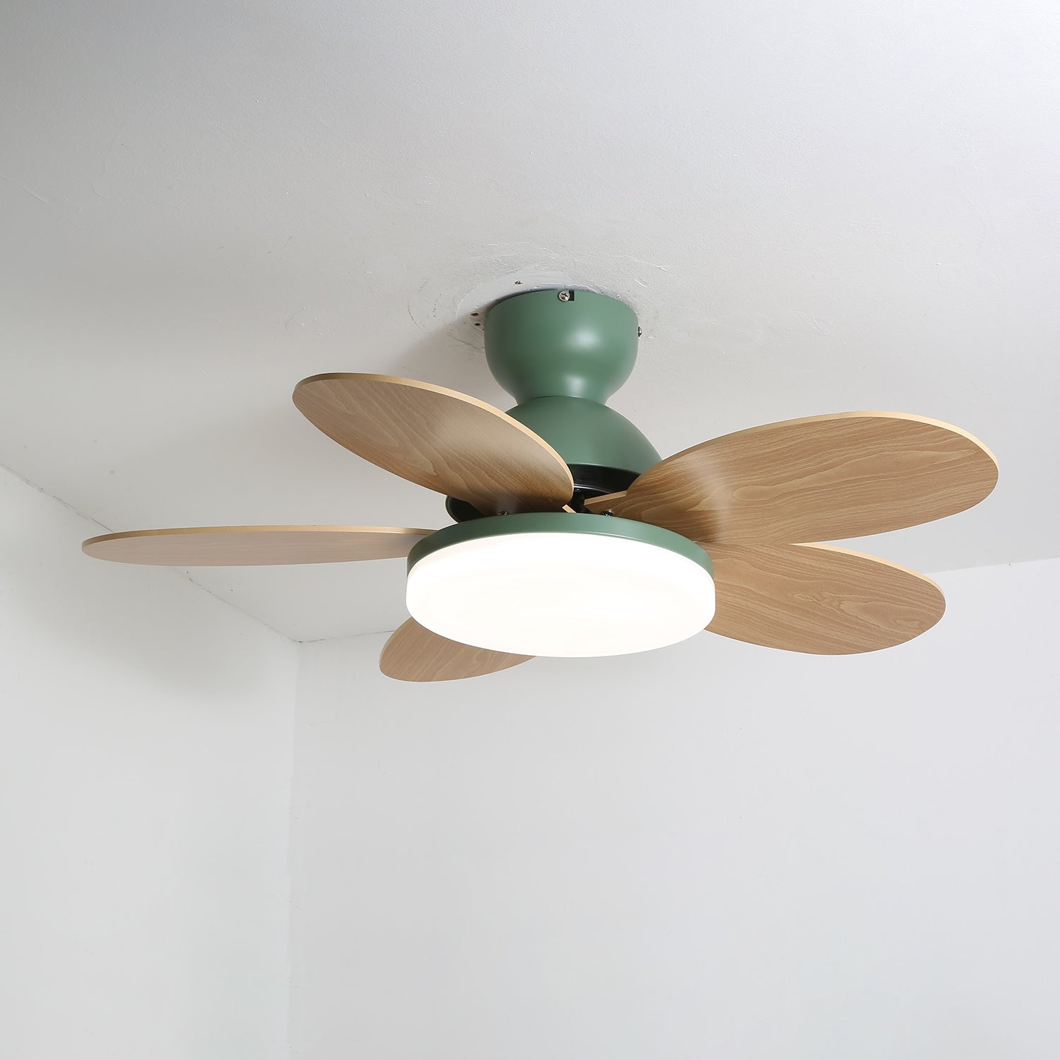 Taliro Ceiling Fan Light