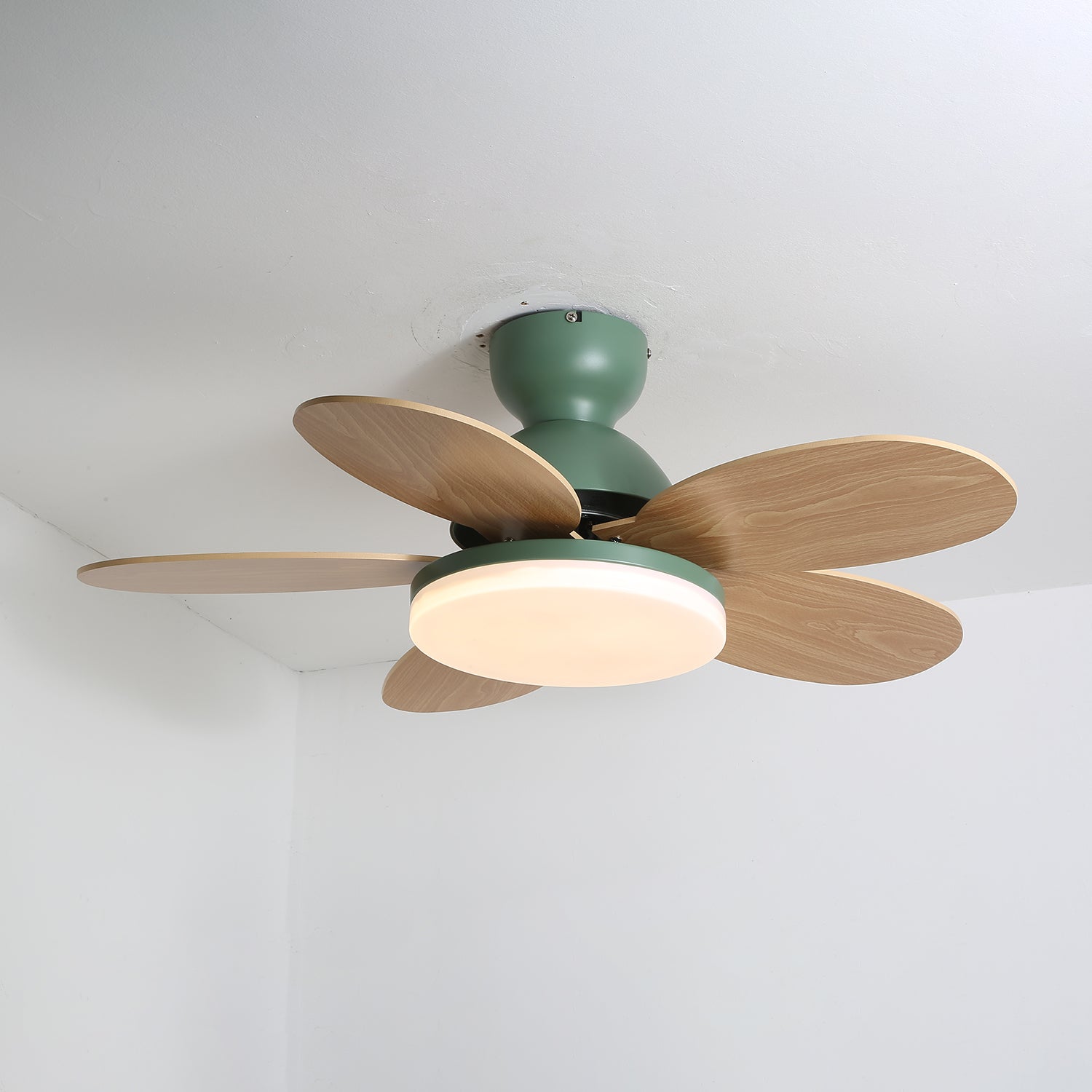 Taliro Ceiling Fan Light