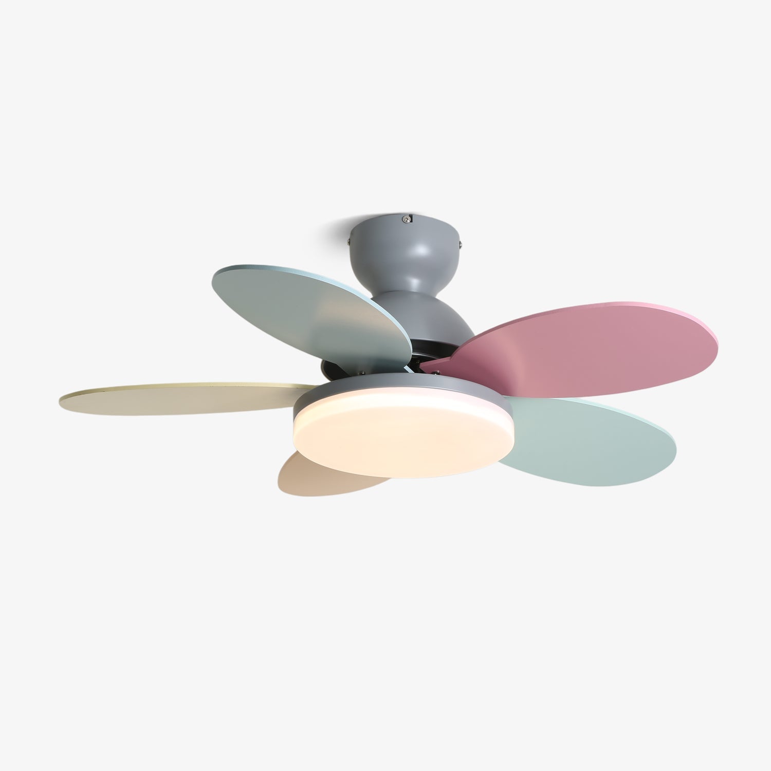 Taliro Ceiling Fan Light