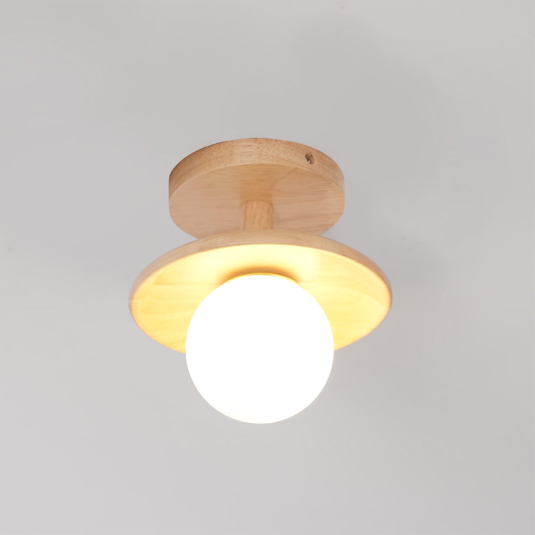 Sorawell Round Ceiling Light