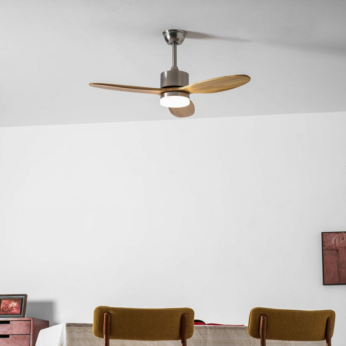 Foxrowell Ceiling Fan Light