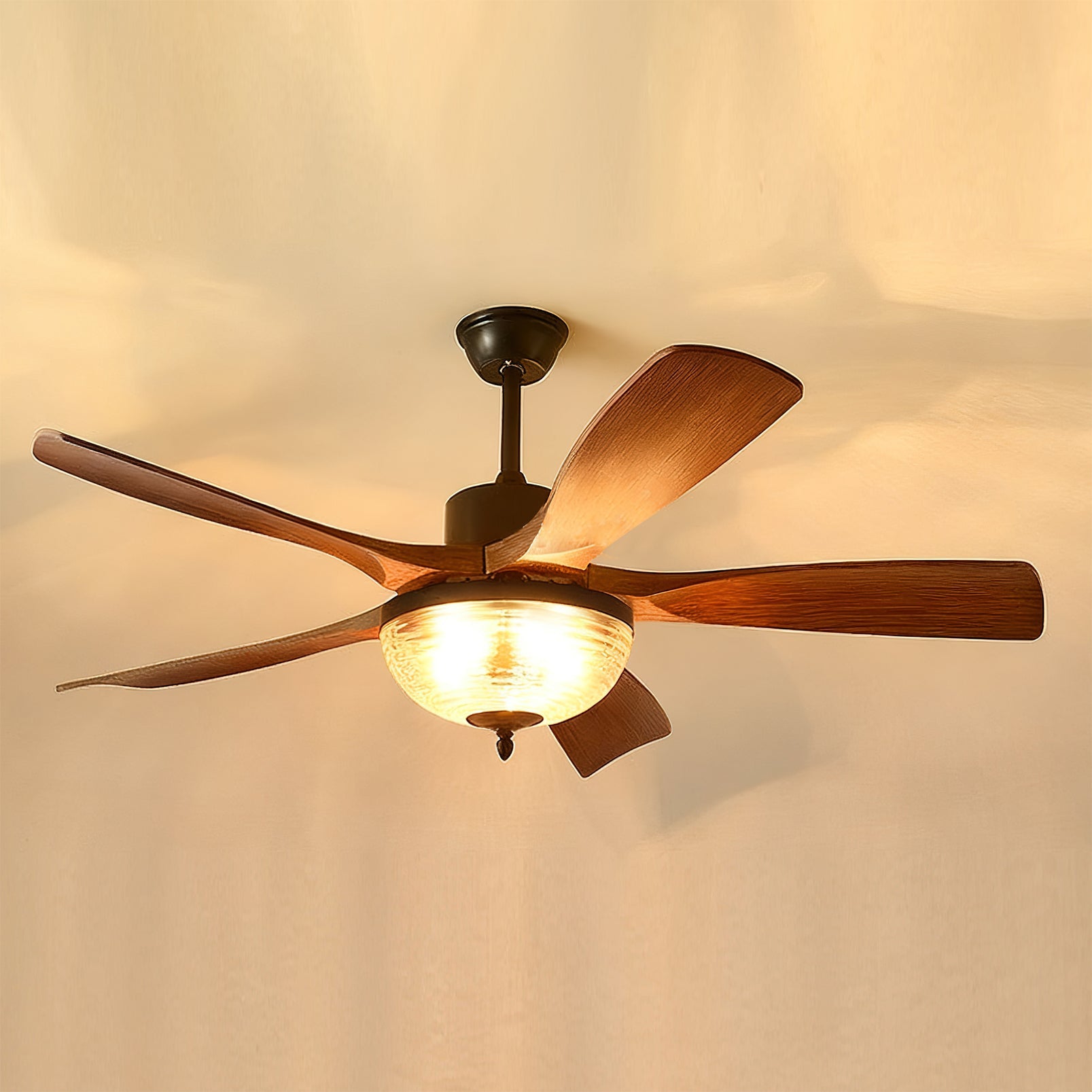 Wynlen Vintage Ceiling Fan Light