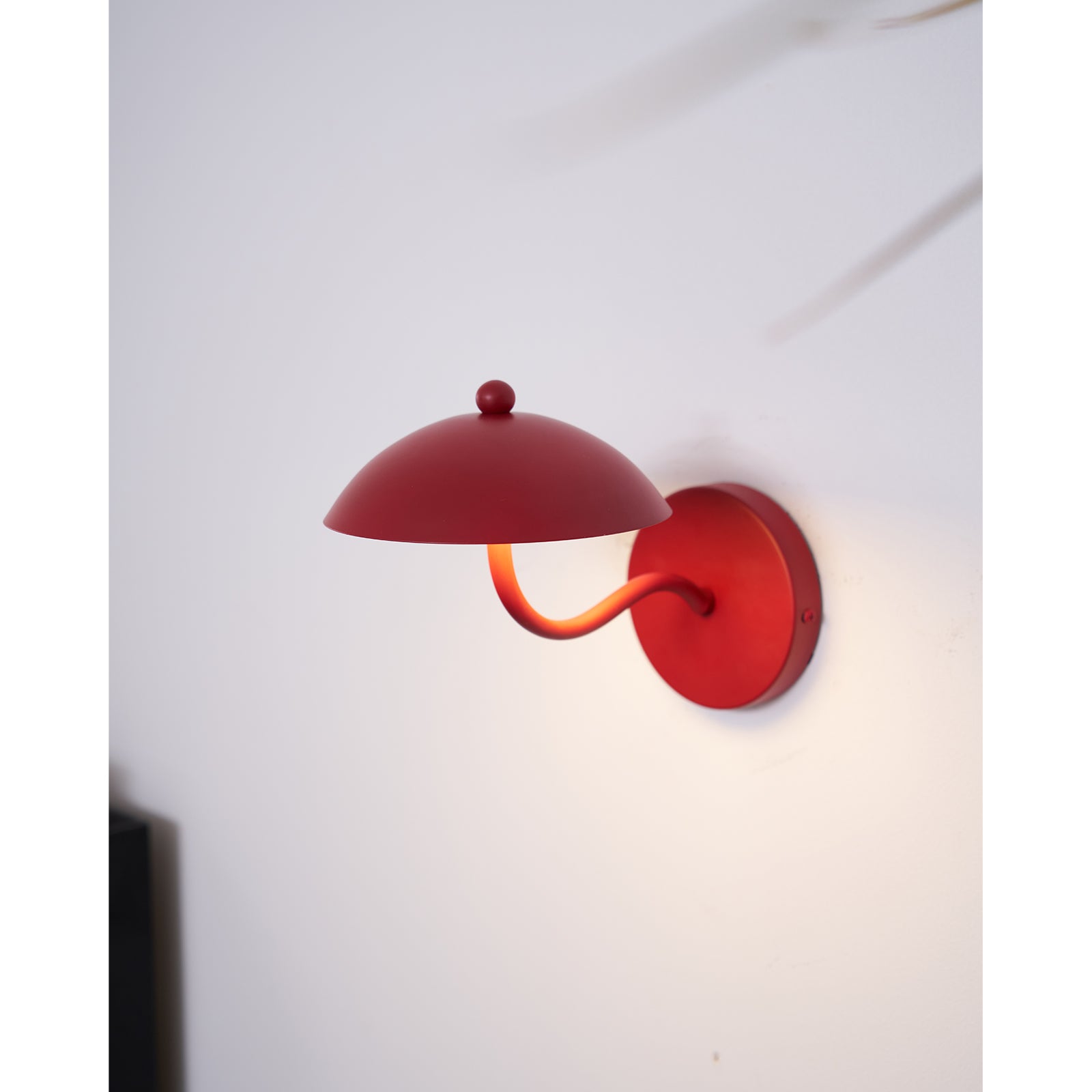 Casnoas Dome Wall Light