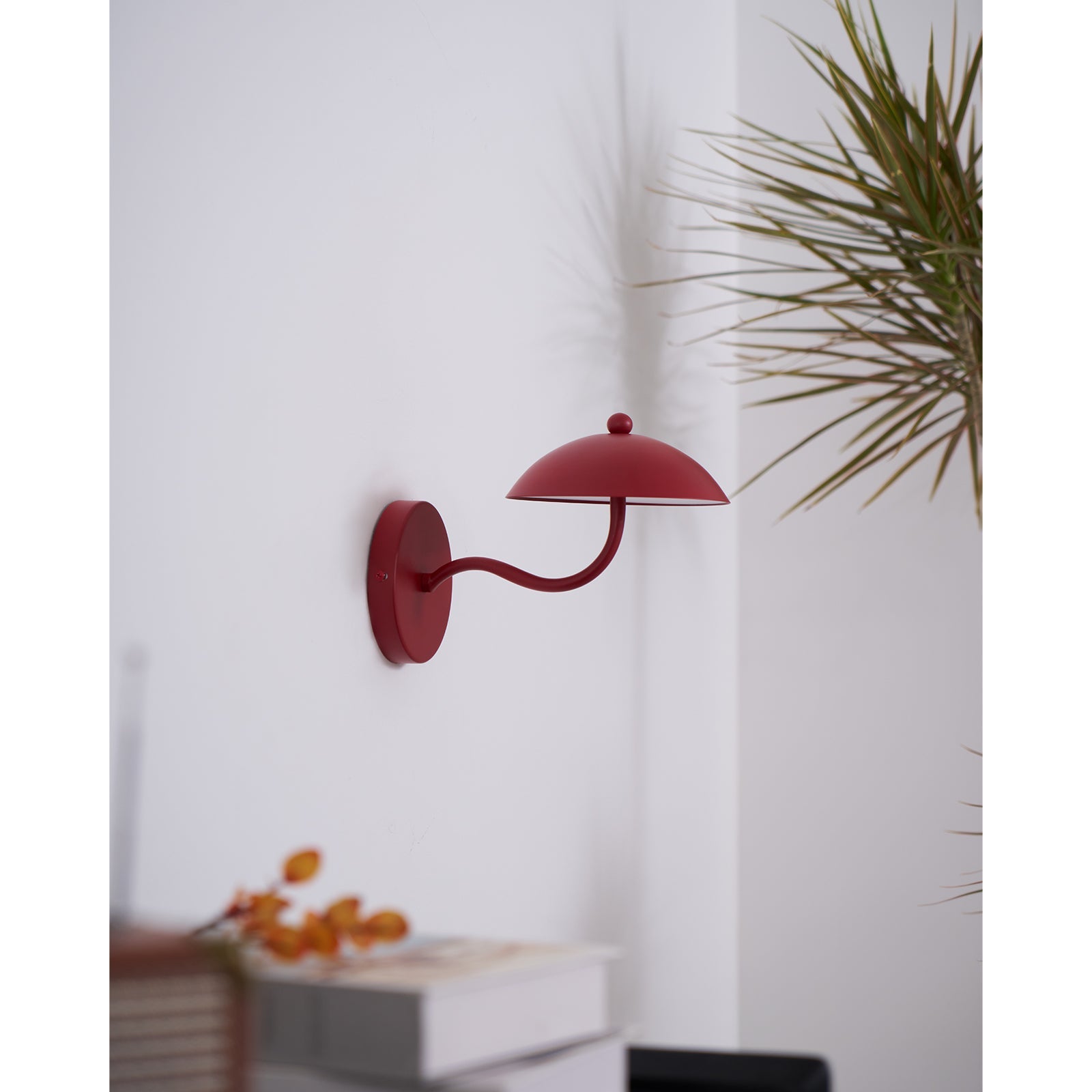 Casnoas Dome Wall Light