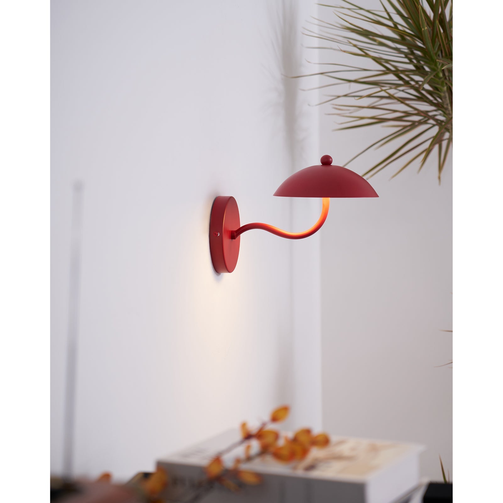 Casnoas Dome Wall Light