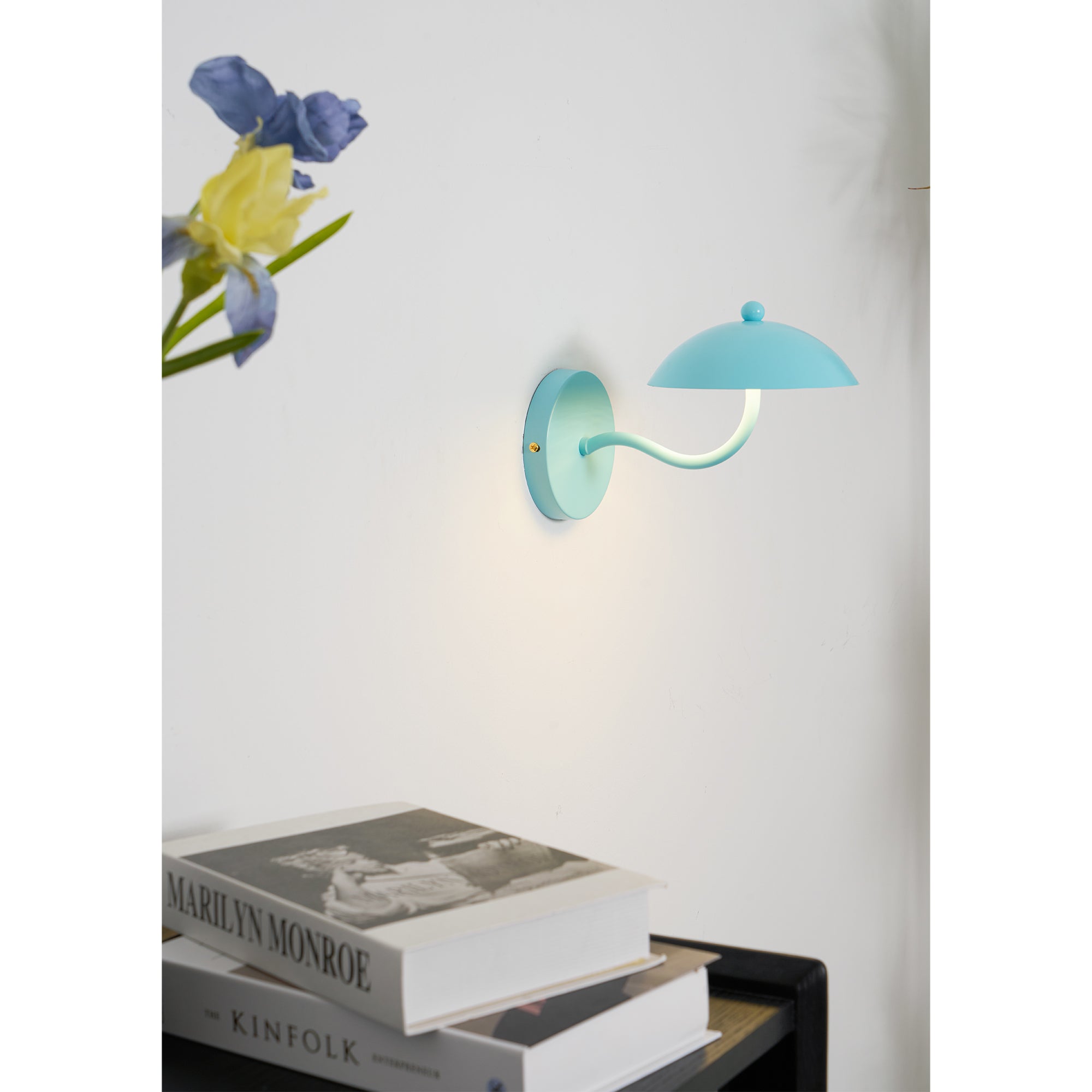 Lannovale Dome Wall Light